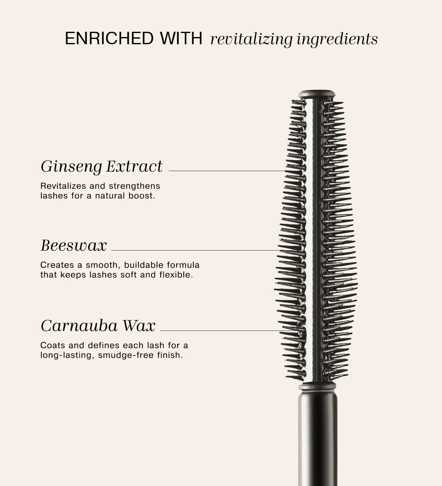 Gilded Lashes Mascara wand highlighted with revitalizing Ginseng Extract, Beeswax, and Carnauba Wax ingredients.